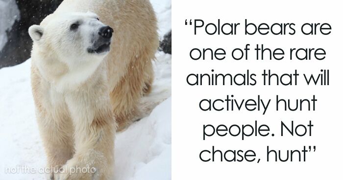 “Will Actively Hunt People”: 65 Scary Science Facts That Might Change How You See The World