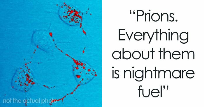 “Will Actively Hunt People”: 65 Scary Science Facts That Might Change How You See The World