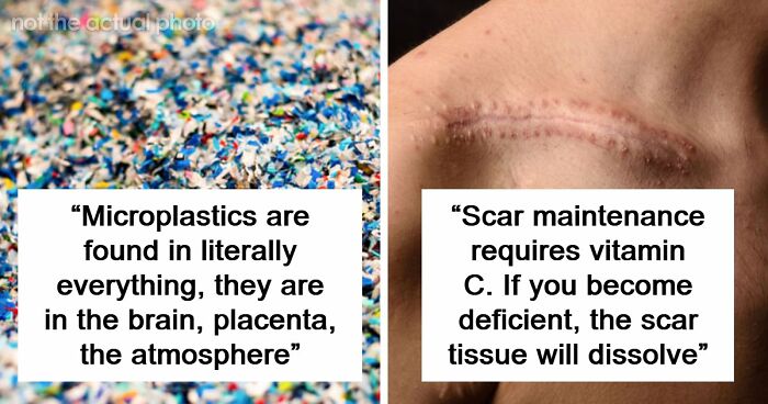 “Will Actively Hunt People”: 65 Scary Science Facts That Might Change How You See The World
