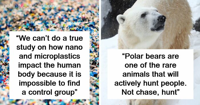 “Will Actively Hunt People”: 65 Scary Science Facts That Might Change How You See The World