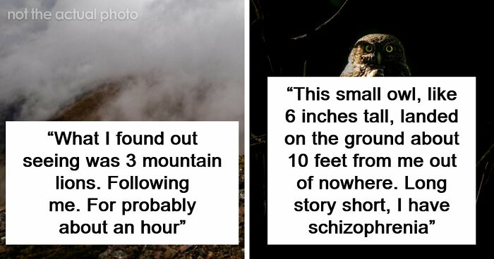 49 Unexplainable And Eerie Things People Spotted In Their Photos Long After Taking Them