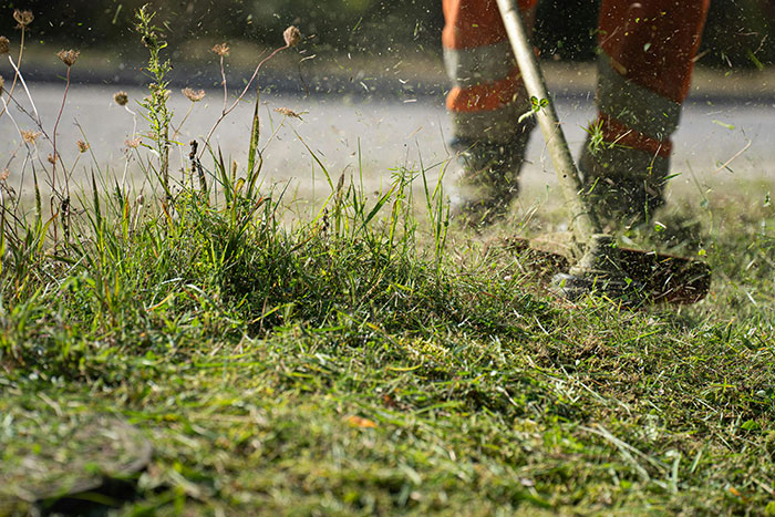 Person trimming grass with a trimmer demonstrating freaky scientific facts about nature
