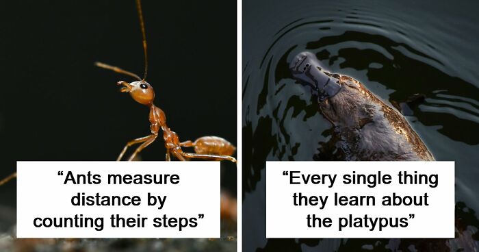60 Freaky Scientific Facts That Sound Fake But Aren’t