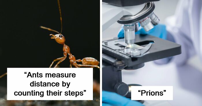 60 Freaky Scientific Facts That Sound Fake But Aren’t