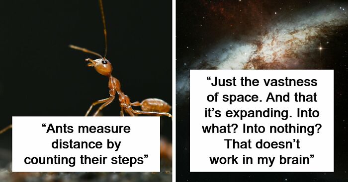 60 Freaky Scientific Facts That Sound Fake But Aren’t