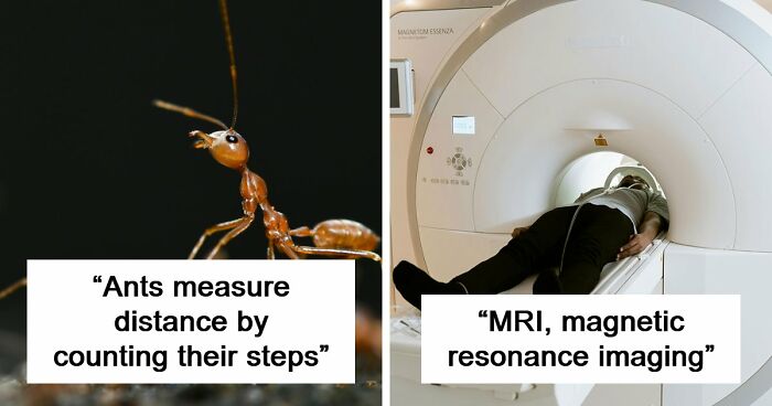 60 Freaky Scientific Facts That Sound Fake But Aren’t