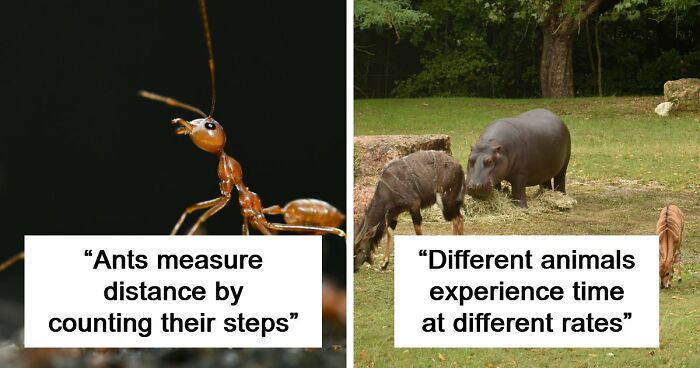 60 Freaky Scientific Facts That Sound Fake But Aren’t