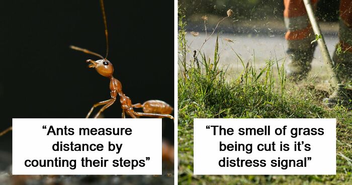 60 Freaky Scientific Facts That Sound Fake But Aren’t