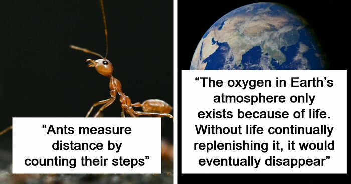 60 Freaky Scientific Facts That Sound Fake But Aren’t