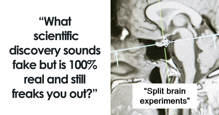 60 Freaky Scientific Facts That Sound Fake But Aren’t