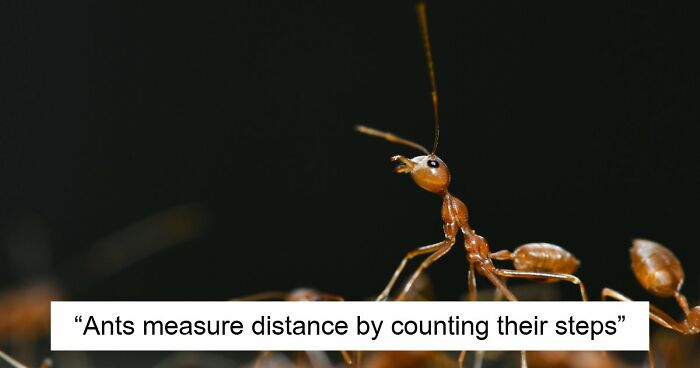 60 Freaky Scientific Facts That Sound Fake But Aren’t