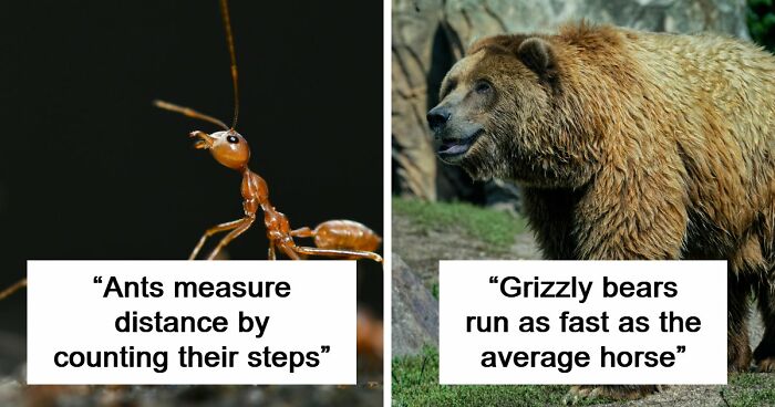 60 Freaky Scientific Facts That Sound Fake But Aren’t