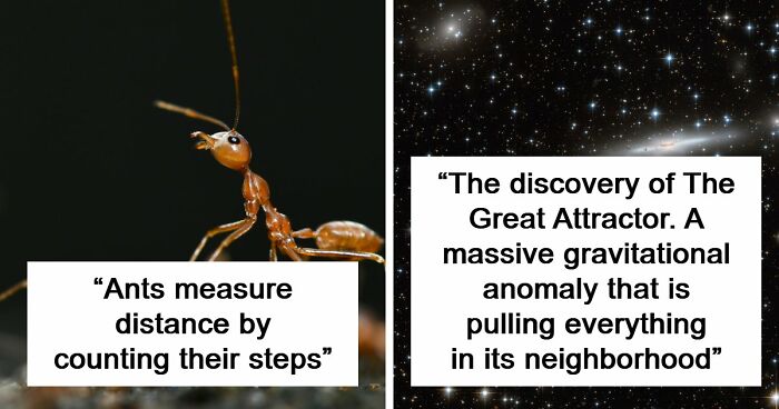 60 Freaky Scientific Facts That Sound Fake But Aren’t