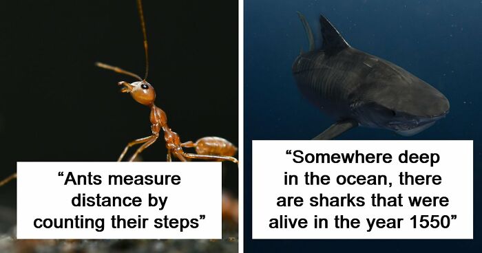 60 Freaky Scientific Facts That Sound Fake But Aren’t