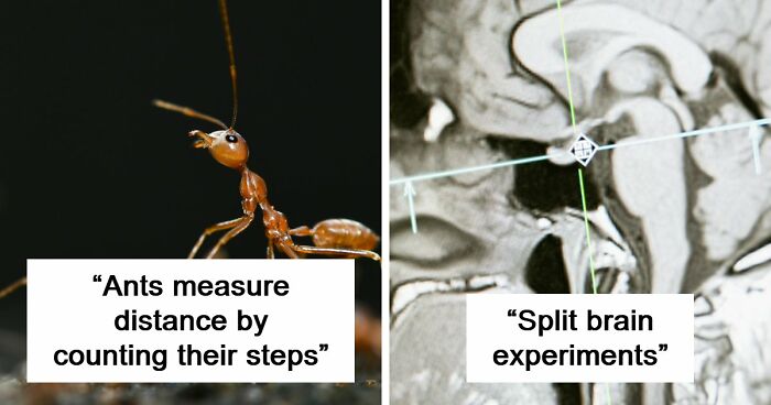 60 Freaky Scientific Facts That Sound Fake But Aren’t