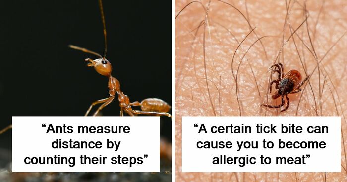 60 Freaky Scientific Facts That Sound Fake But Aren’t
