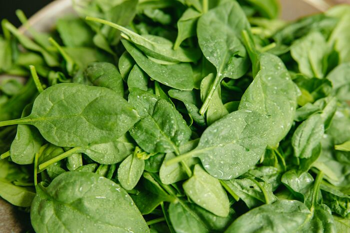 A close-up of fresh, vibrant green spinach leaves with water droplets, highlighting a common outdated fact.