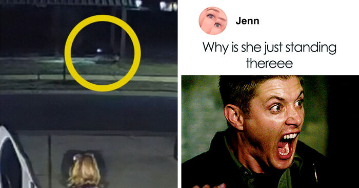 Viral Video Makes People Lose Their Minds, Everyone Fights Over What The “Creature” In It Is