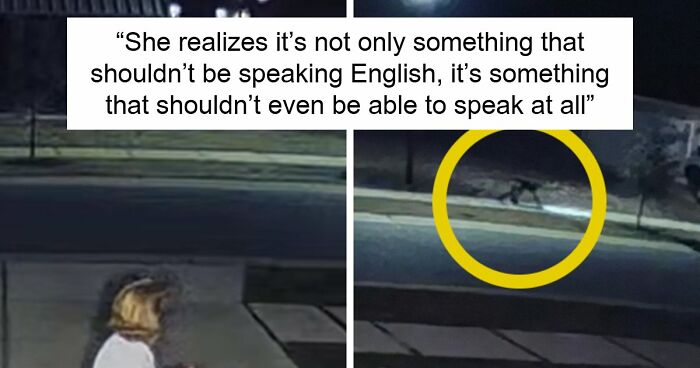 Viral Video Makes People Lose Their Minds, Everyone Fights Over What The “Creature” In It Is