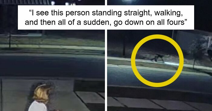 Viral Video Makes People Lose Their Minds, Everyone Fights Over What The “Creature” In It Is