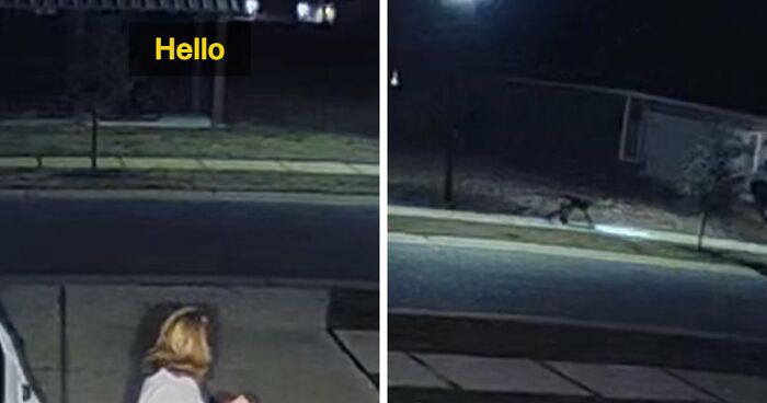 Viral Video Makes People Lose Their Minds, Everyone Fights Over What The “Creature” In It Is