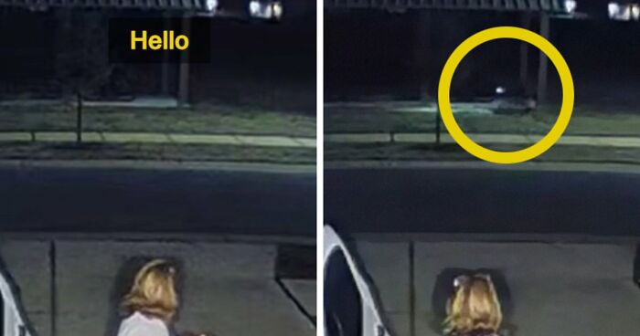 Viral Video Makes People Lose Their Minds, Everyone Fights Over What The “Creature” In It Is