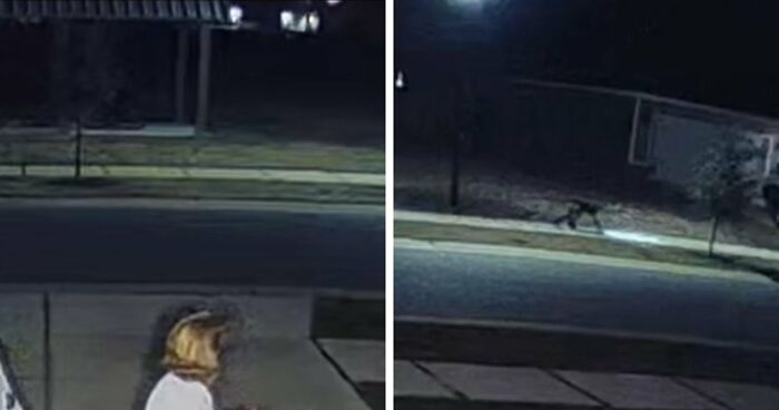 Viral Video Makes People Lose Their Minds, Everyone Fights Over What The “Creature” In It Is
