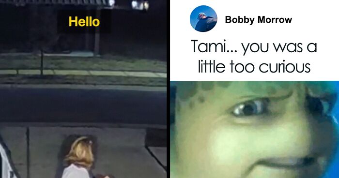 Viral Video Makes People Lose Their Minds, Everyone Fights Over What The “Creature” In It Is