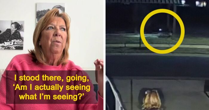 Viral Video Makes People Lose Their Minds, Everyone Fights Over What The “Creature” In It Is
