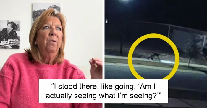 Viral Video Makes People Lose Their Minds, Everyone Fights Over What The “Creature” In It Is