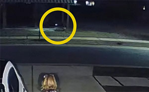 Viral Video Makes People Lose Their Minds, Everyone Fights Over What The 