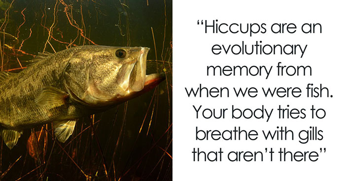 People Are Sharing Their Favorite Shocking Facts, And These 48 Are Beyond Fascinating