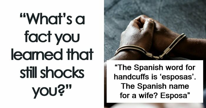 People Are Sharing Their Favorite Shocking Facts, And These 48 Are Beyond Fascinating