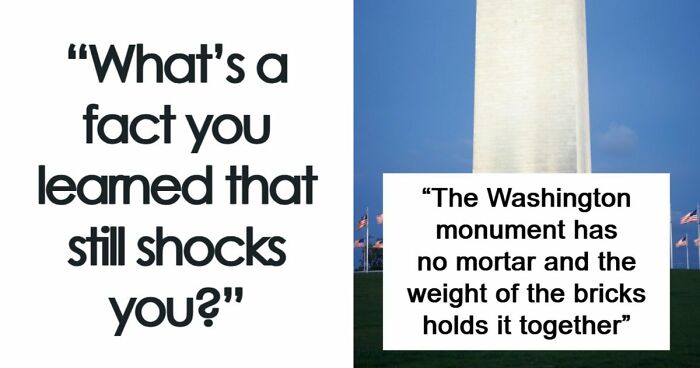 People Are Sharing Their Favorite Shocking Facts, And These 48 Are Beyond Fascinating