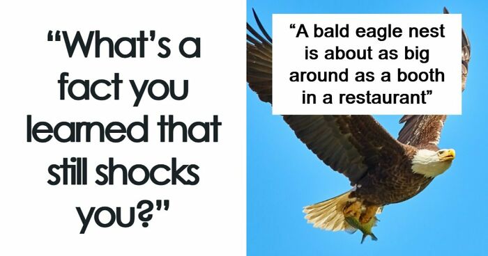 People Are Sharing Their Favorite Shocking Facts, And These 48 Are Beyond Fascinating