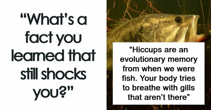 People Are Sharing Their Favorite Shocking Facts, And These 48 Are Beyond Fascinating