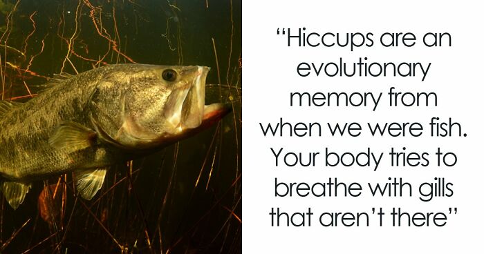 People Are Sharing Their Favorite Shocking Facts, And These 48 Are Beyond Fascinating