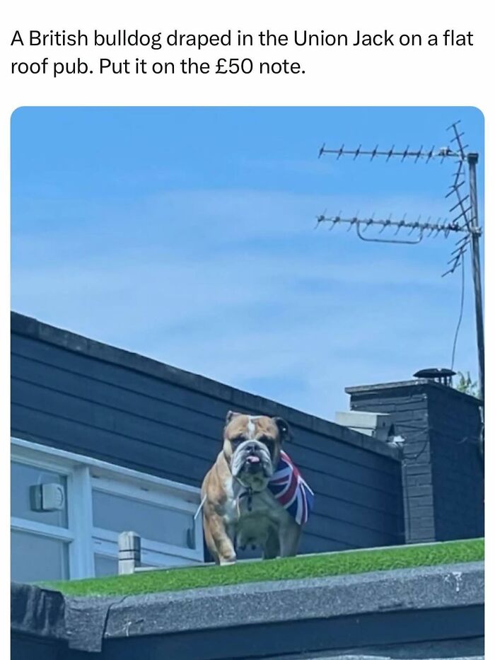 A British bulldog, draped in the Union Jack flag, standing on a pub roof. A British meme enjoying rain, tea, biscuits.