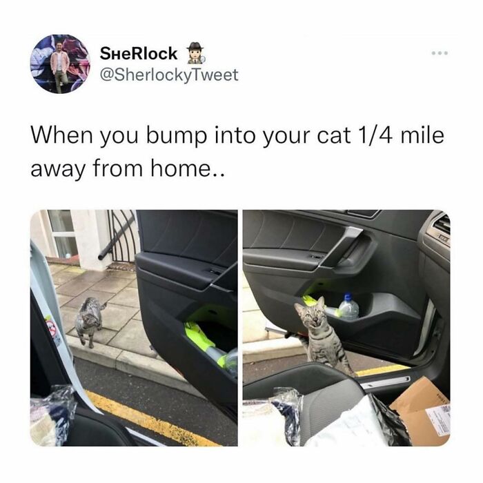 Funny-Jokes-Memes-Sillysausagejokes