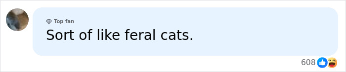 Social media comment comparing to feral cats Social media comment comparing to feral cats