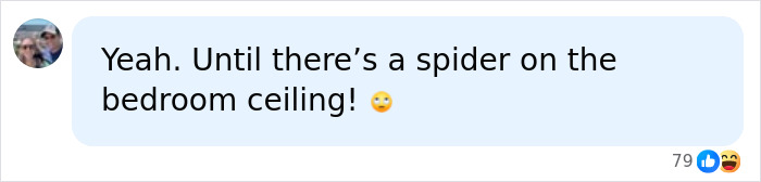 Comment about a spider on the bedroom ceiling in a moms commune discussion Comment about a spider on the bedroom ceiling in a moms commune discussion