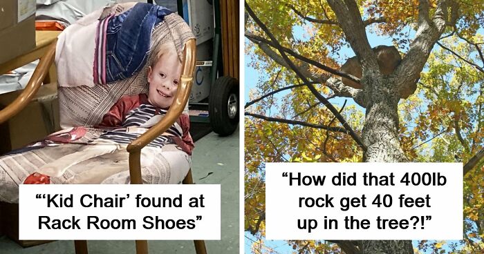68 Times People Encountered Something So Strange They Had To Share It With The World (New Pics)