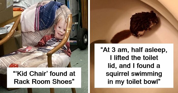 68 Times People Encountered Something So Strange They Had To Share It With The World (New Pics)