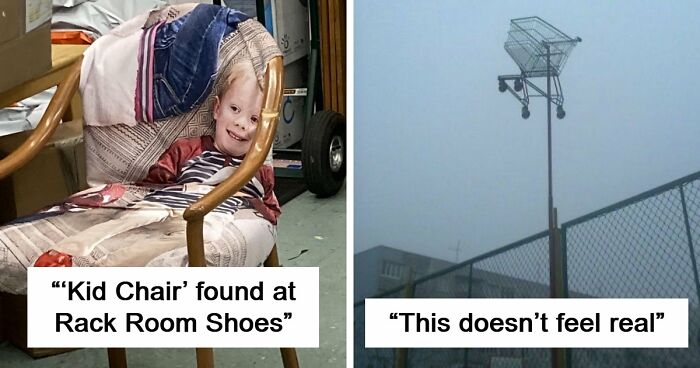 68 Times People Encountered Something So Strange They Had To Share It With The World (New Pics)