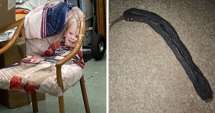 68 Times People Encountered Something So Strange They Had To Share It With The World (New Pics)