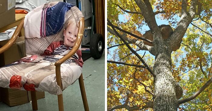 68 Times People Encountered Something So Strange They Had To Share It With The World (New Pics)
