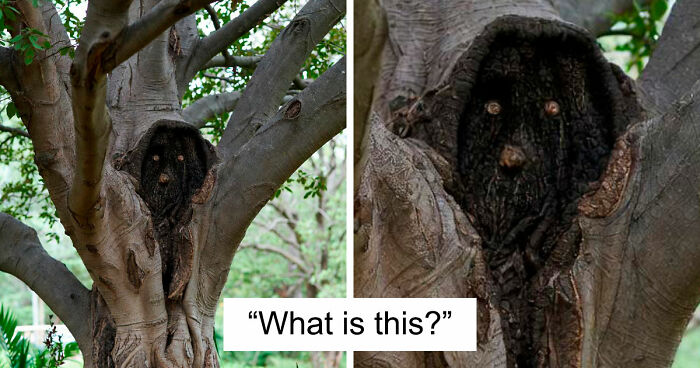 68 Times People Encountered Something So Strange They Had To Share It With The World (New Pics)