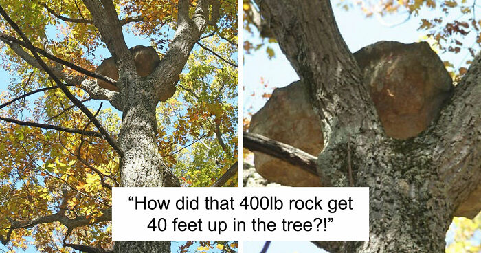 68 Times People Encountered Something So Strange They Had To Share It With The World (New Pics)