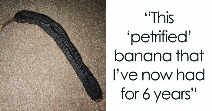 68 Times People Encountered Something So Strange They Had To Share It With The World (New Pics)