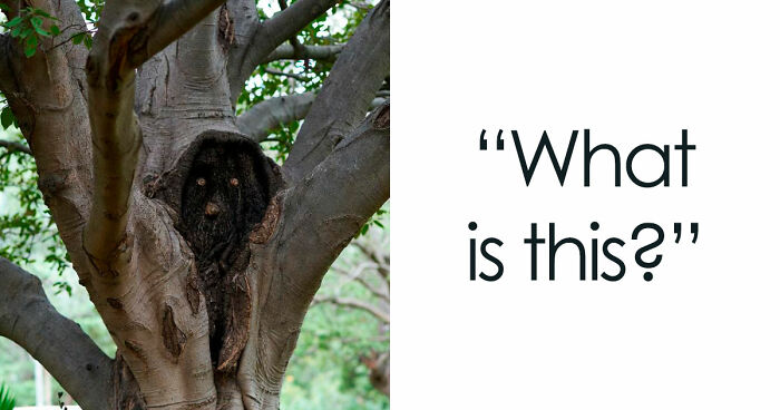 68 Times People Encountered Something So Strange They Had To Share It With The World (New Pics)
